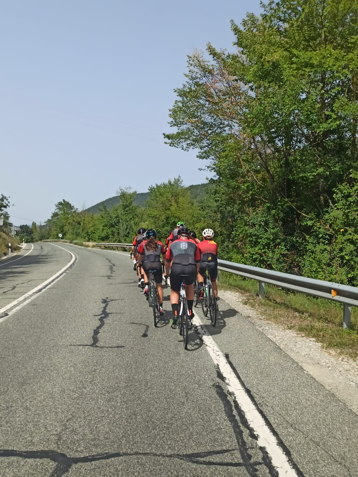 Concentración Grupo Perfeccionamiento FNT